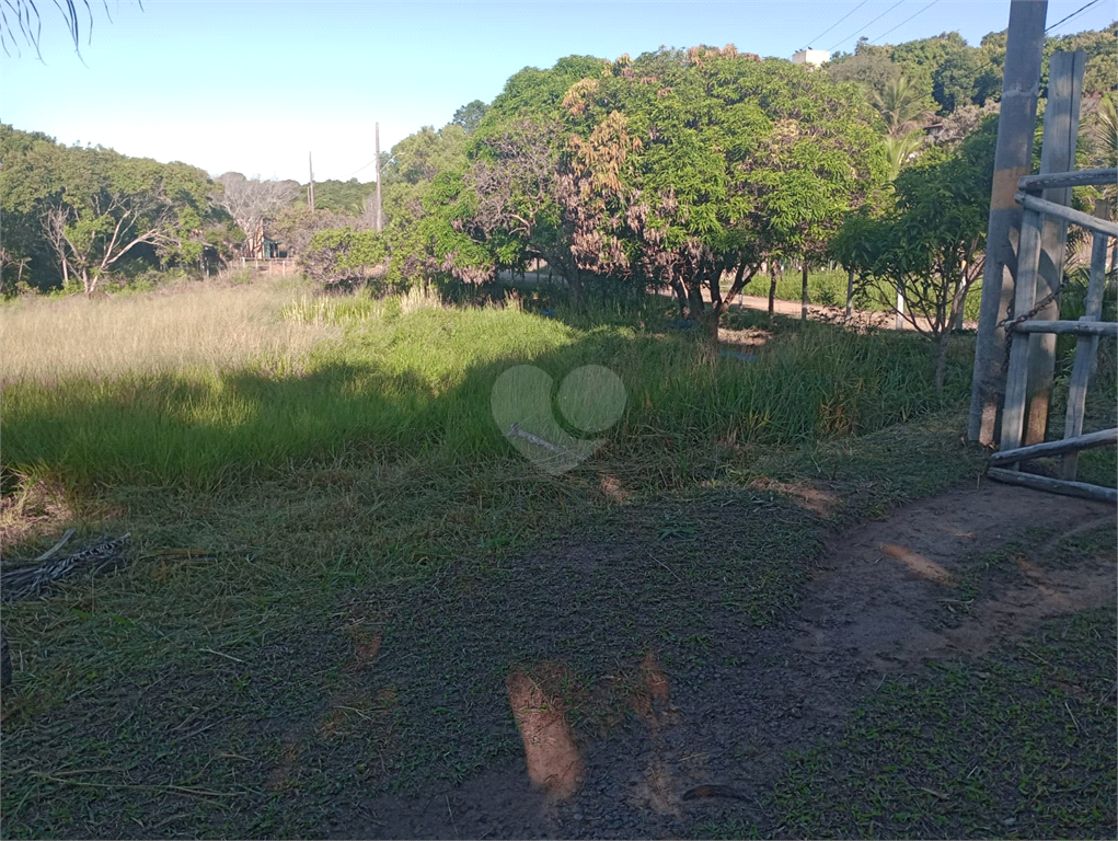 Venda Sítio Vila Velha Área Rural De Vila Velha REO902286 7