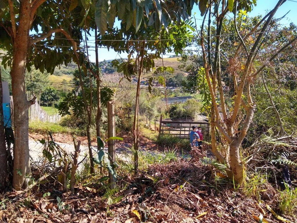 Venda Terreno Suzano Palmeiras De São Paulo REO902610 8