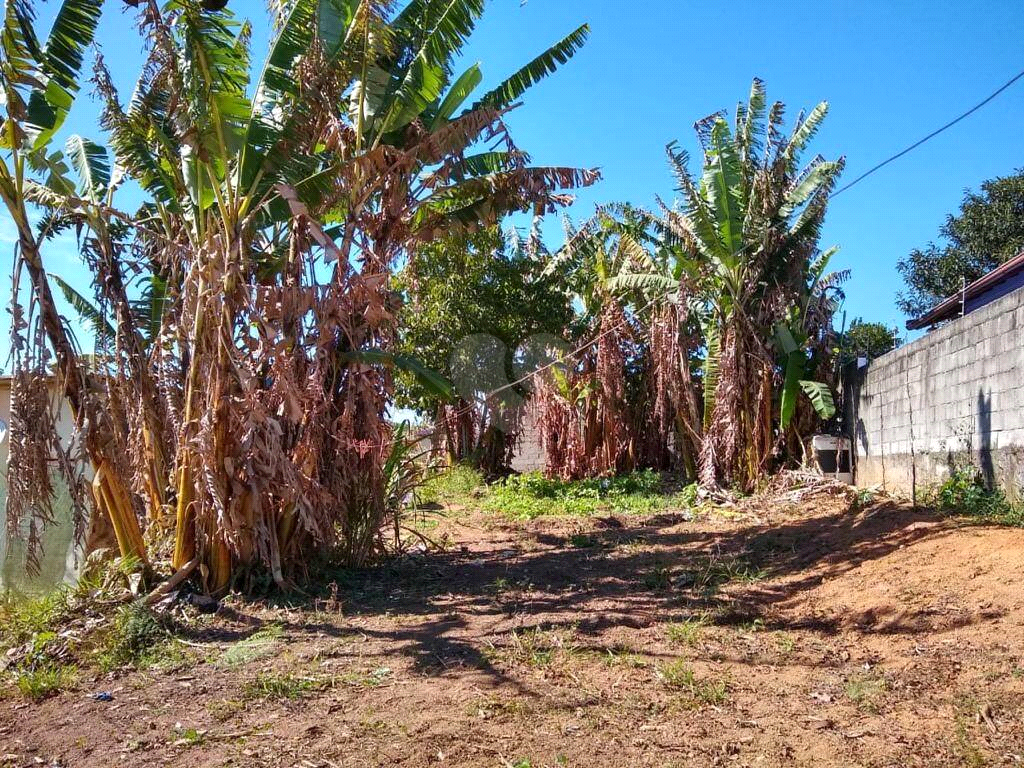 Venda Terreno Suzano Palmeiras De São Paulo REO902610 10