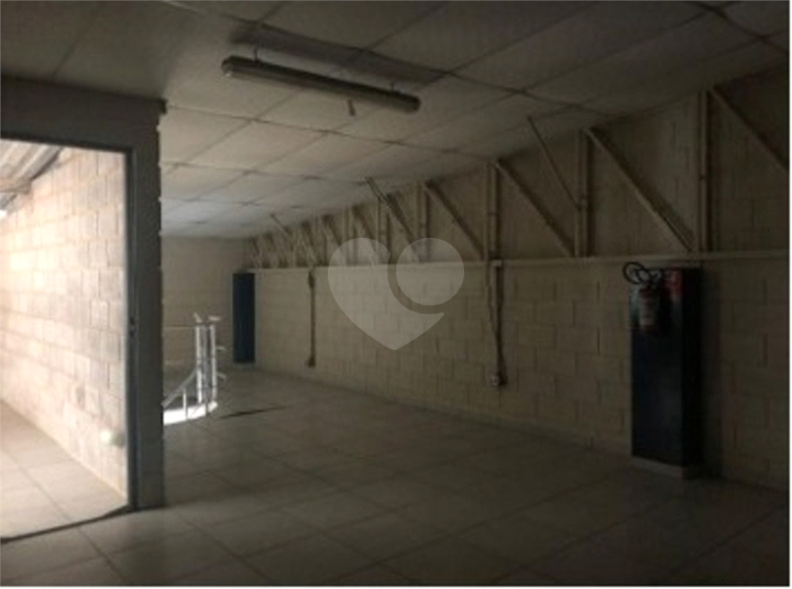 Foto REO902659