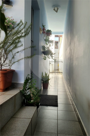 Foto REO902852