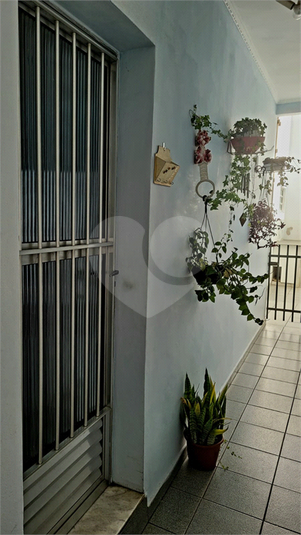 Foto REO902852