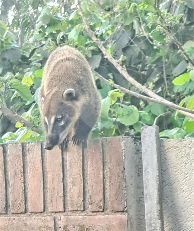 Venda Loteamento São Paulo Jardim Peri REO903356 9