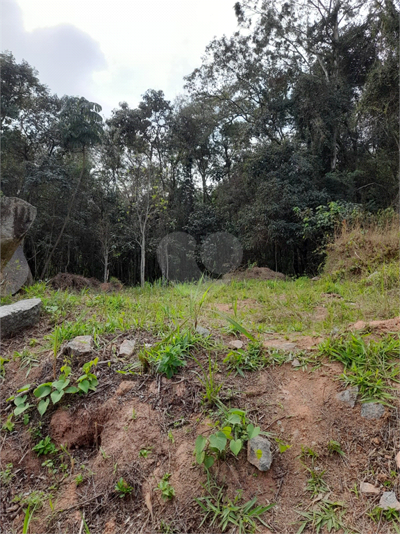 Venda Loteamento São Paulo Jardim Peri REO903377 1