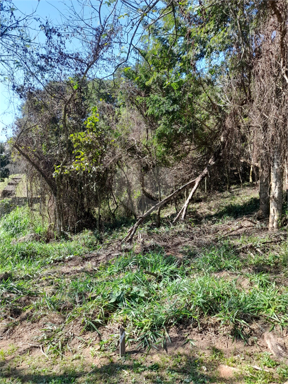 Venda Loteamento São Paulo Jardim Peri REO903520 26