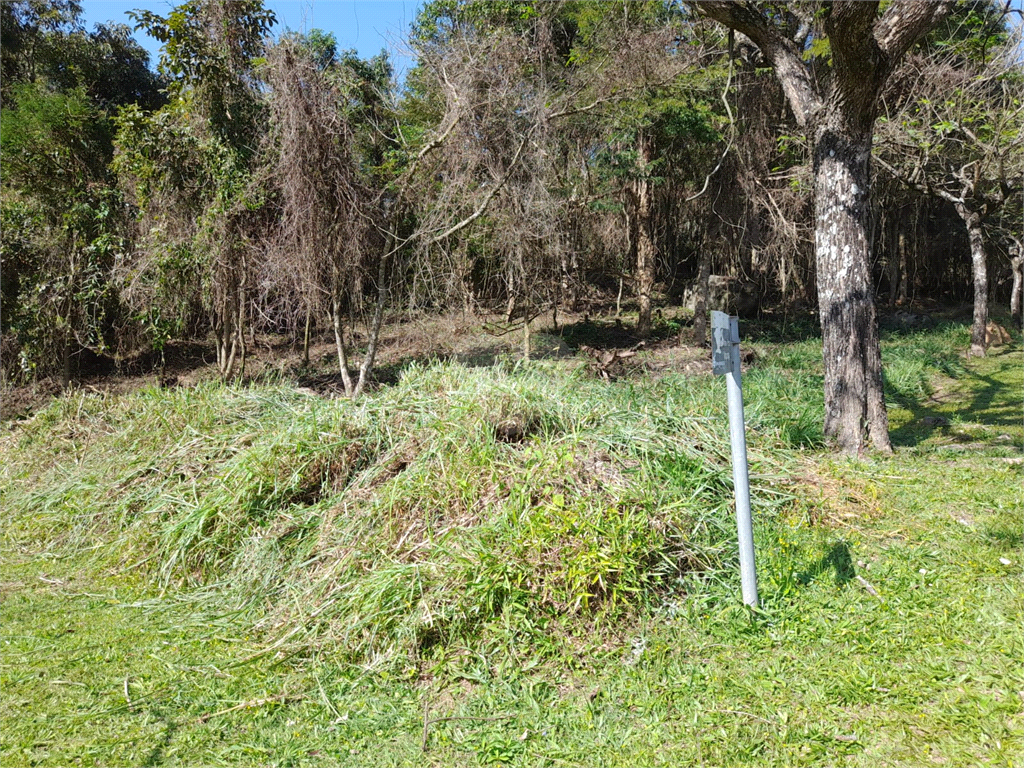 Venda Loteamento São Paulo Jardim Peri REO903520 16