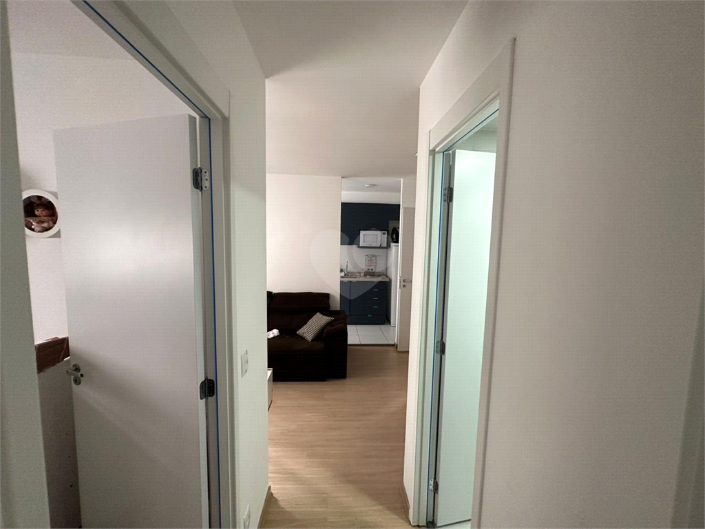 Venda Apartamento São Paulo Brás REO903529 8