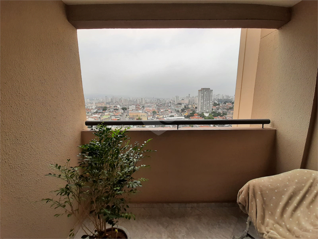 Venda Apartamento São Paulo Parque Peruche REO903700 9