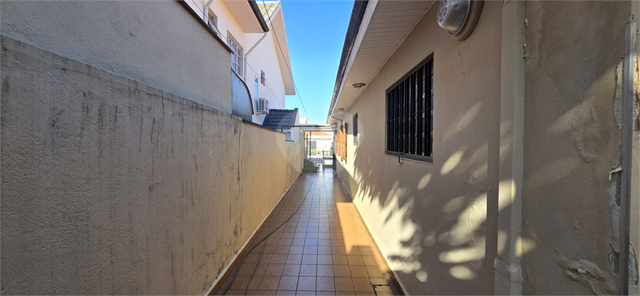 Foto REO903863