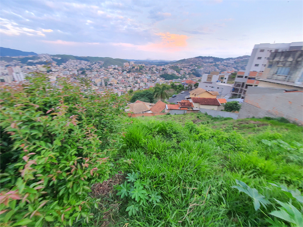 Venda Terreno Poços De Caldas Santa Maria REO904141 12