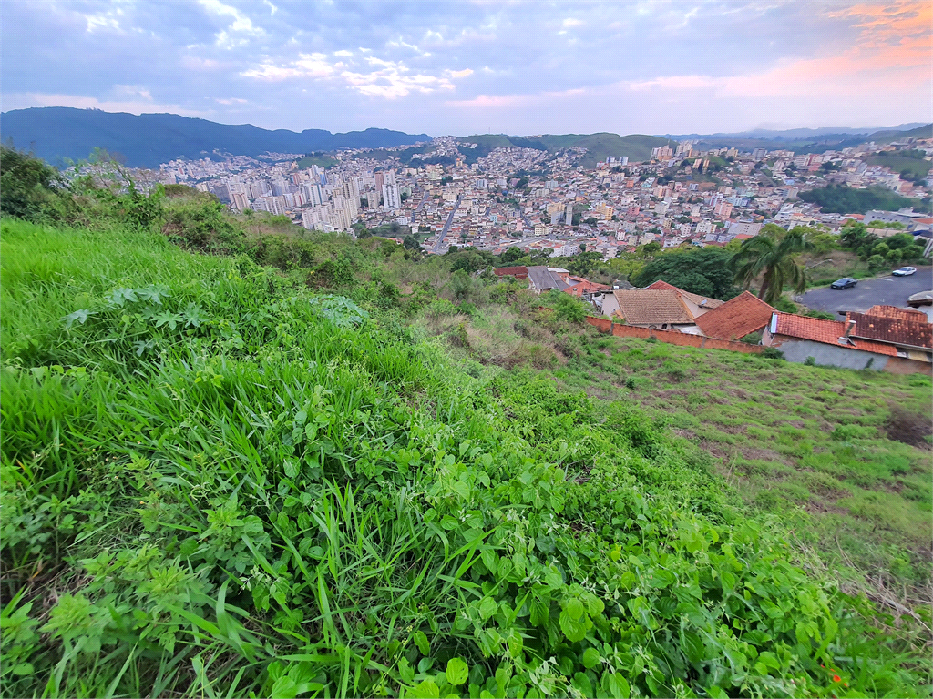 Venda Terreno Poços De Caldas Santa Maria REO904141 15