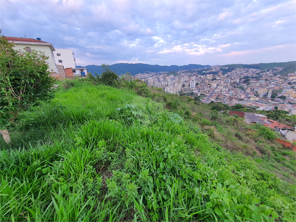 Venda Terreno Poços De Caldas Santa Maria REO904141 16