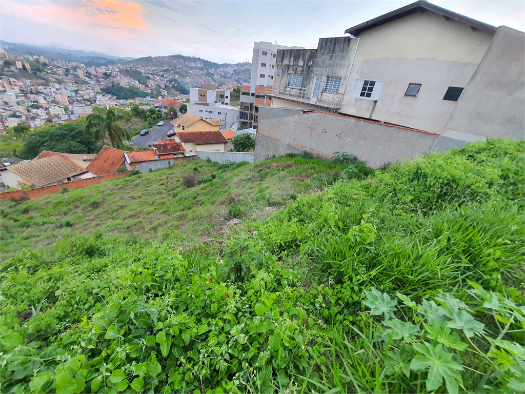 Venda Terreno Poços De Caldas Santa Maria REO904141 13