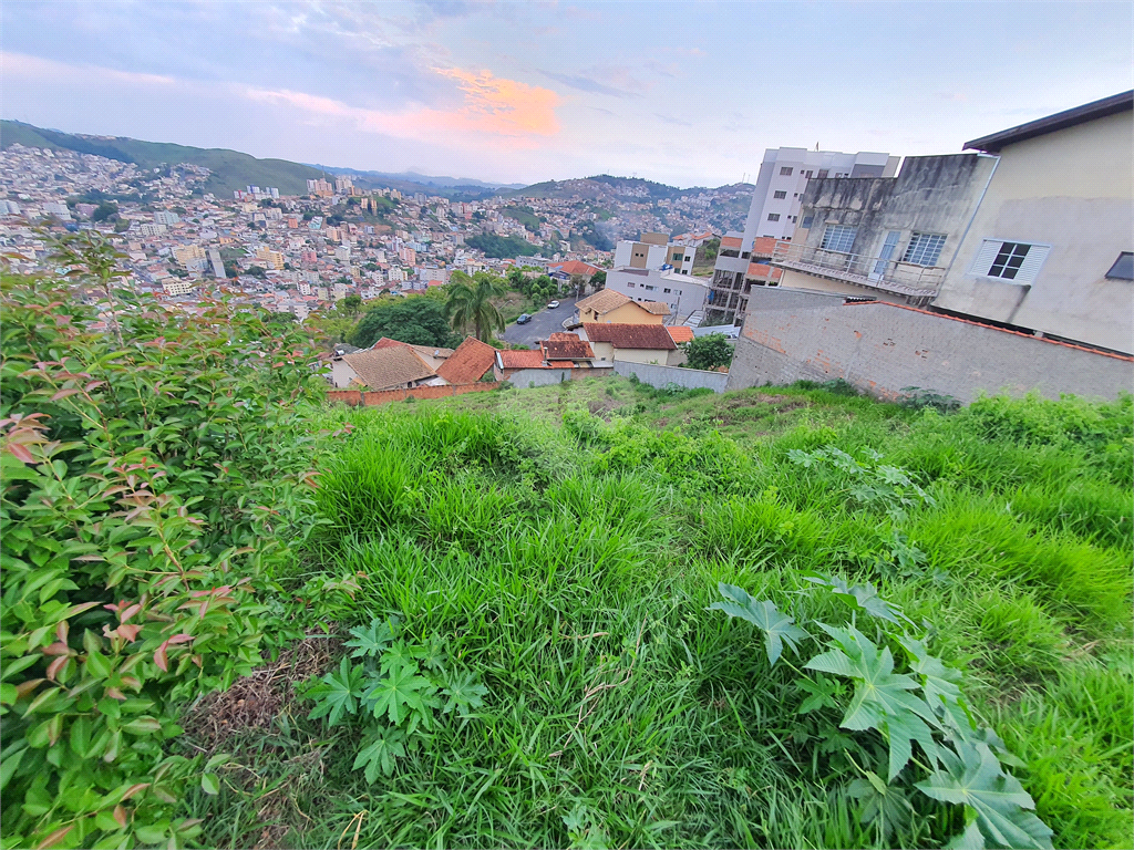 Venda Terreno Poços De Caldas Santa Maria REO904141 11