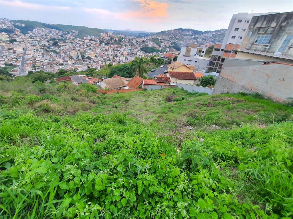 Venda Terreno Poços De Caldas Santa Maria REO904141 14