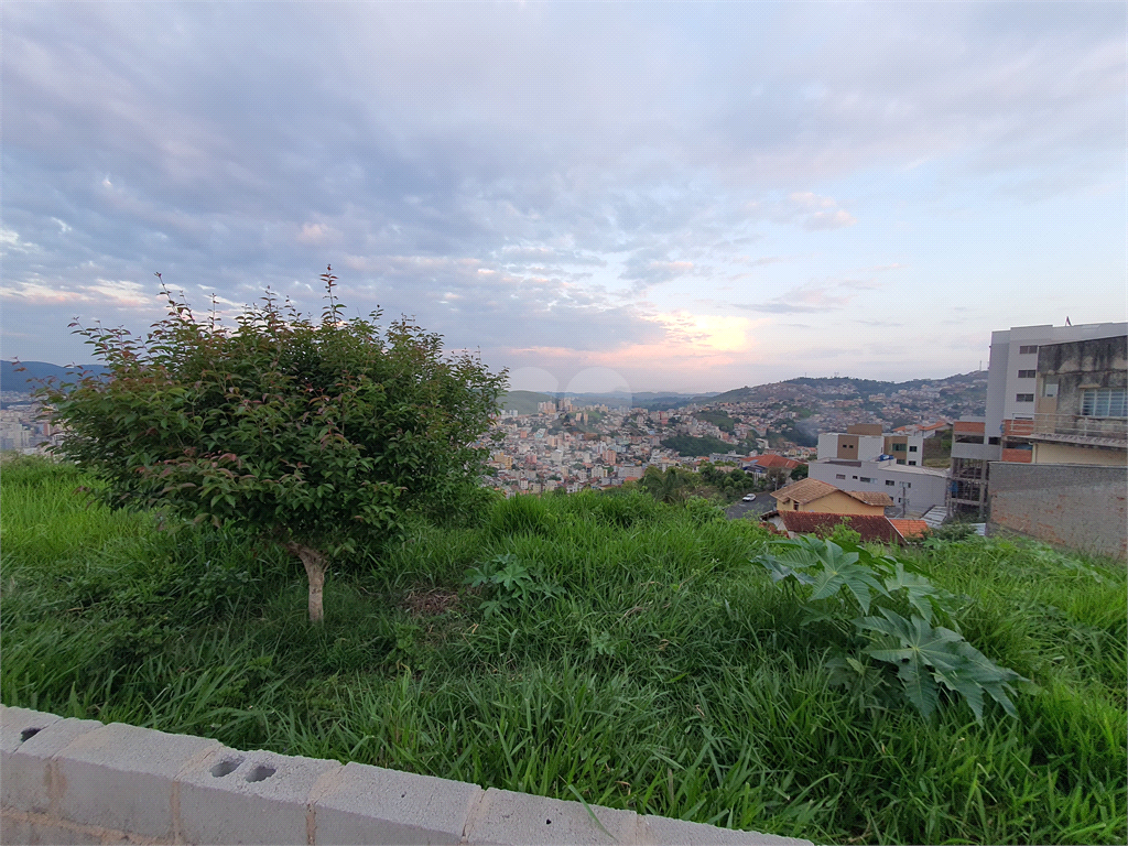 Venda Terreno Poços De Caldas Santa Maria REO904141 10