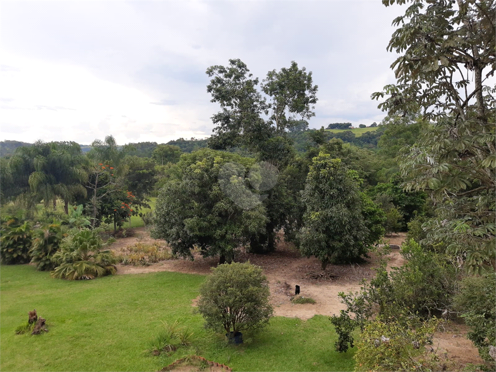 Venda Chácara São Pedro Floresta Escura REO904523 5