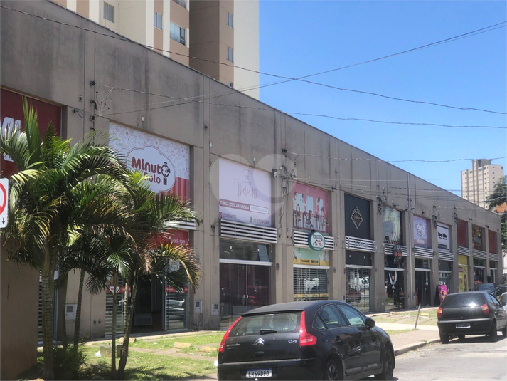 Foto REO904589