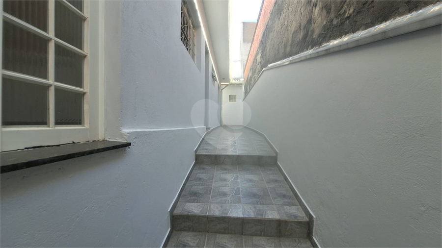 Foto REO904598