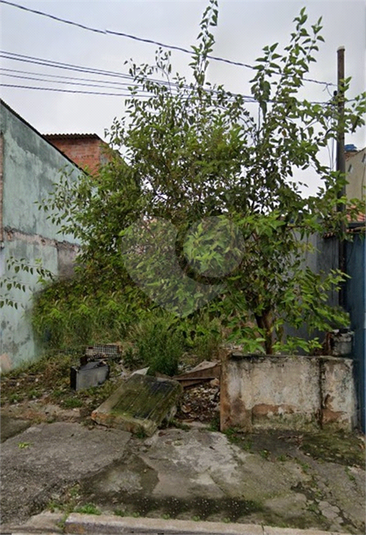 Venda Terreno São Paulo Vila Constança REO904819 2