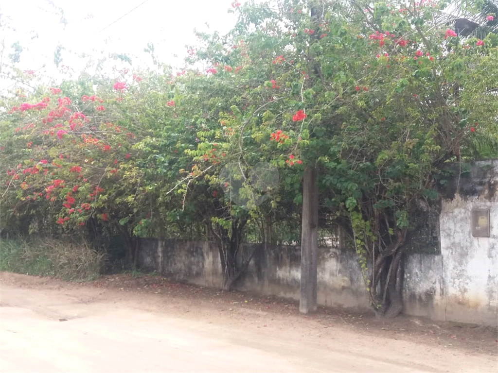 Venda Chácara Macaíba Zona De Expansão Urbana Sul REO905181 7