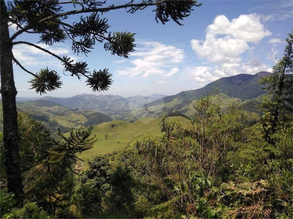 Venda Sítio São José Dos Campos Centro (são Francisco Xavier) REO905211 7