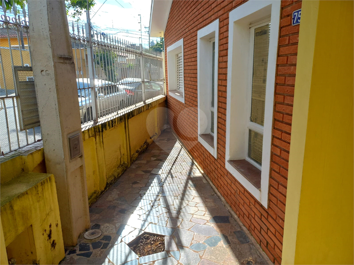 Foto REO905506