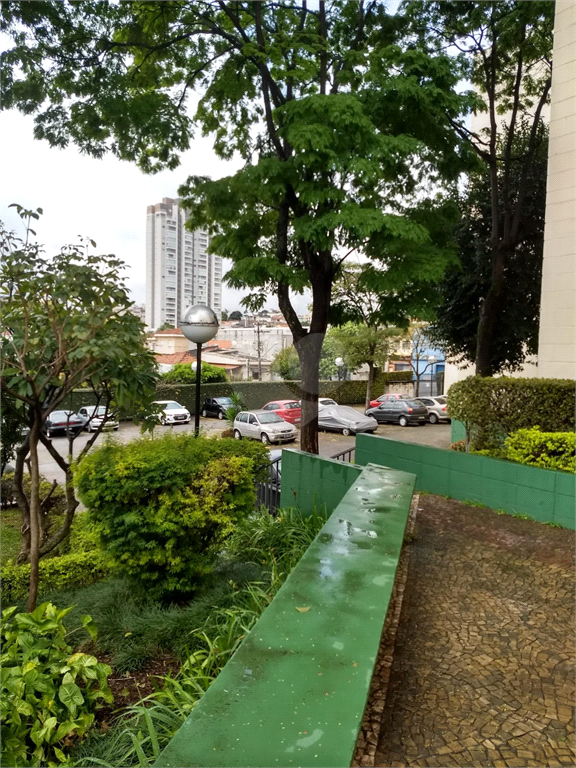 Venda Apartamento São Paulo Parque Peruche REO905675 19