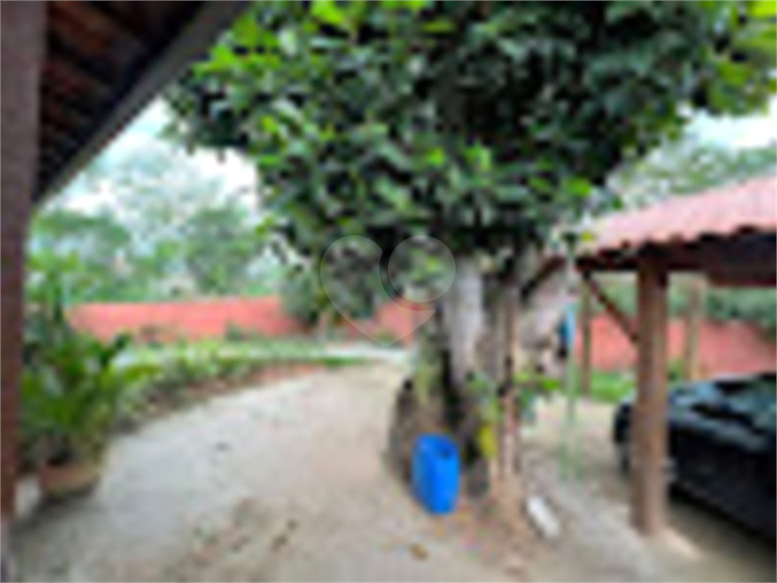 Foto REO905965