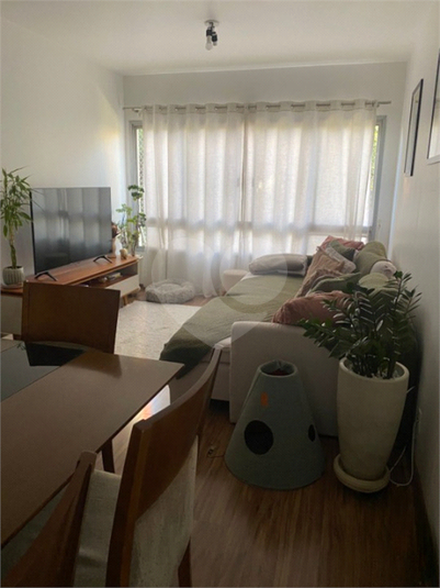 Foto REO906172