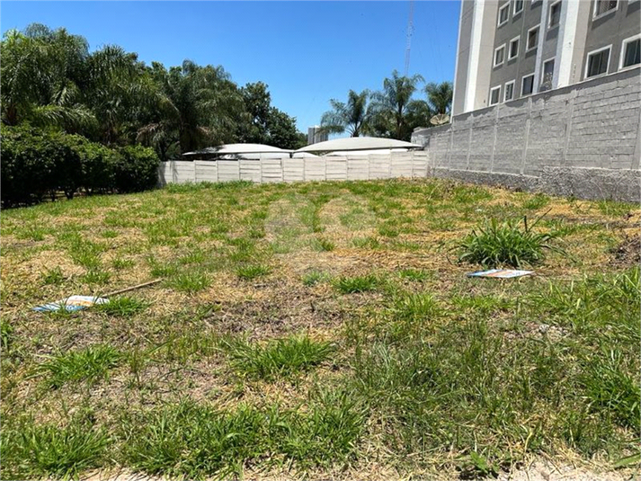 Venda Terreno São Carlos Jardim Ricetti REO906313 14