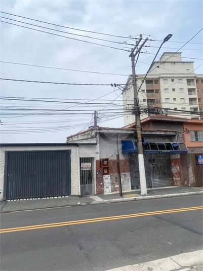 Foto REO906553