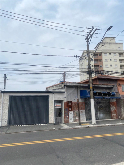 Foto REO906553