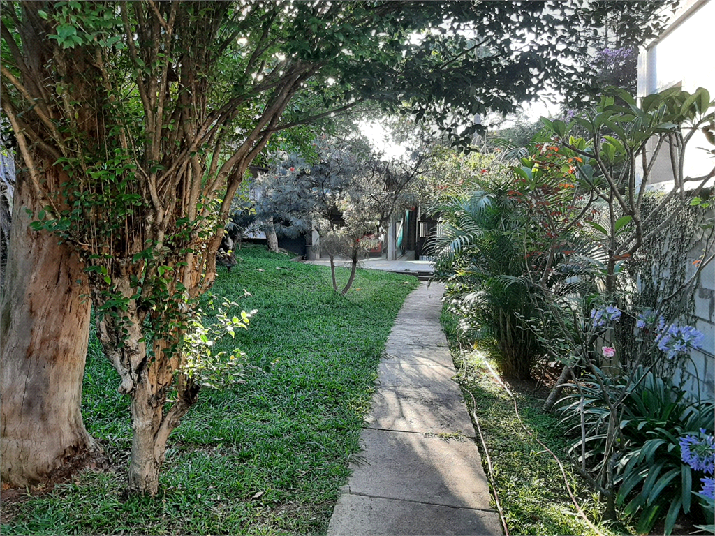 Venda Casa térrea São Paulo Vila Albertina REO906593 4