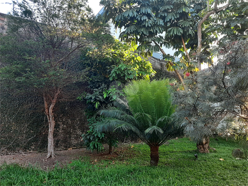 Venda Casa térrea São Paulo Vila Albertina REO906593 3