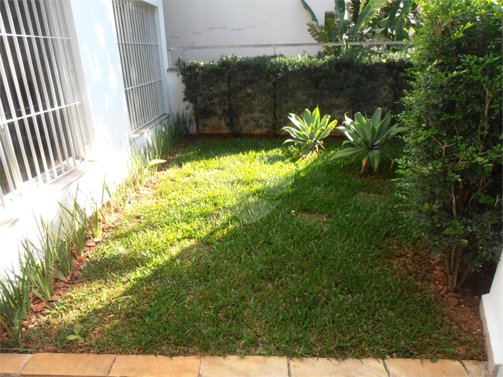 Foto REO906729