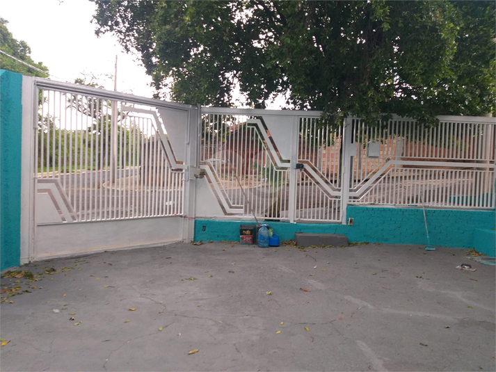 Foto REO906770