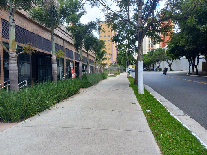 Foto REO906781