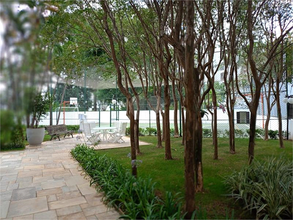 Aluguel Apartamento São Paulo Santa Cecília REO906967 66