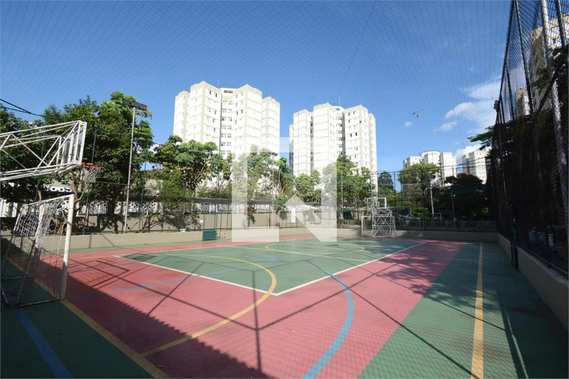 Foto REO907436