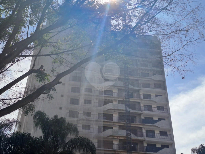 Foto REO907479