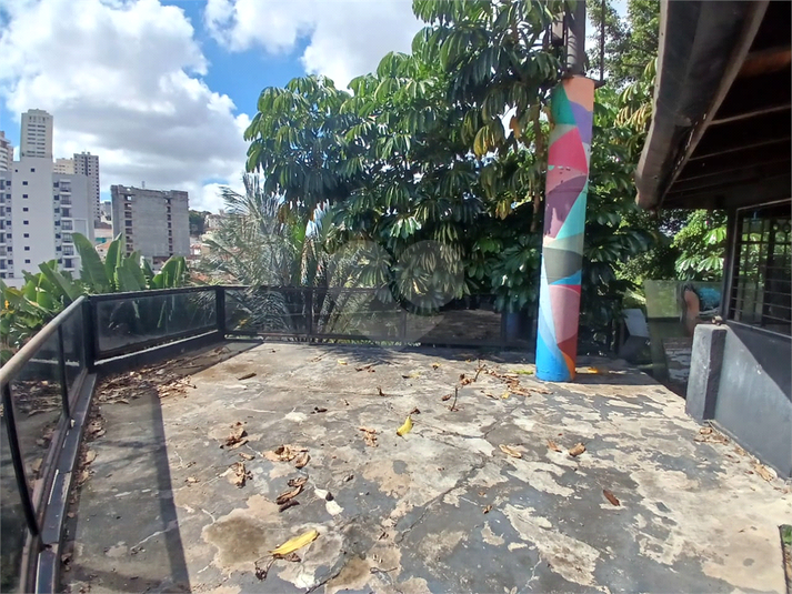 Foto REO907579