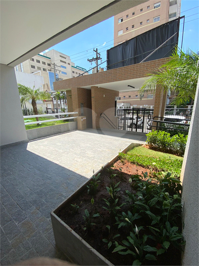Foto REO907739