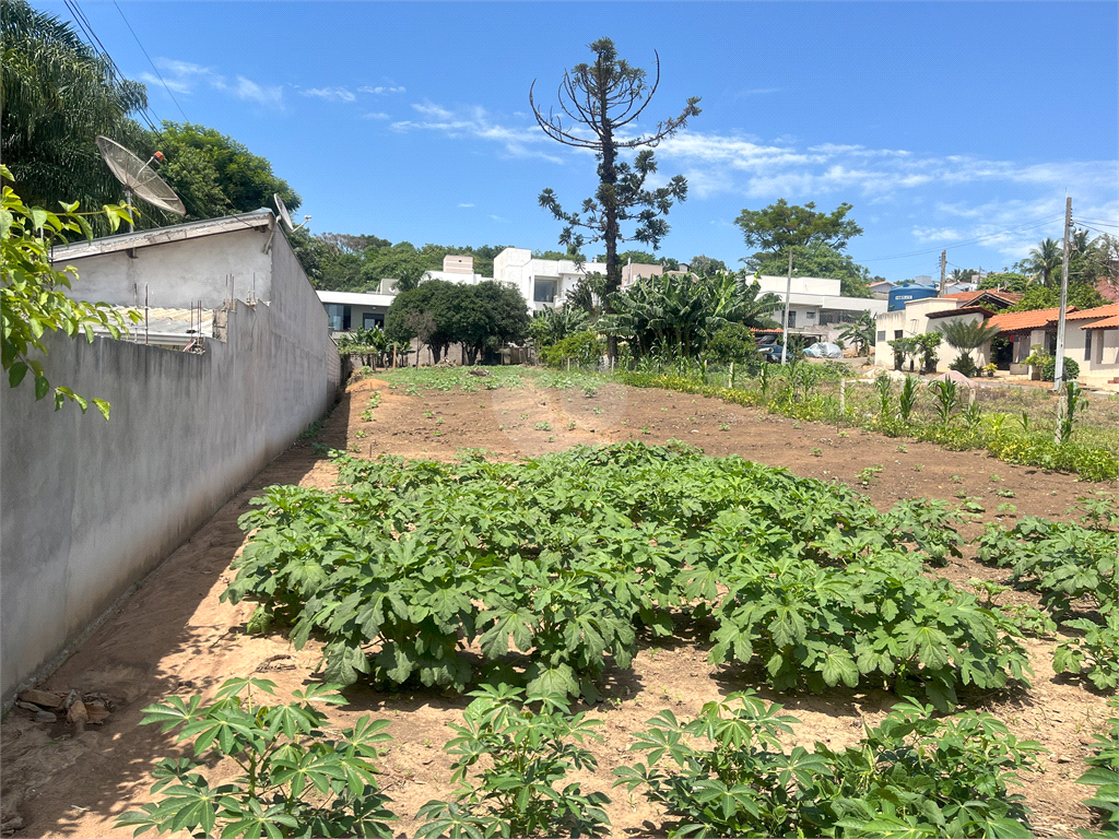 Venda Terreno Valinhos Jardim São Luiz REO907864 8