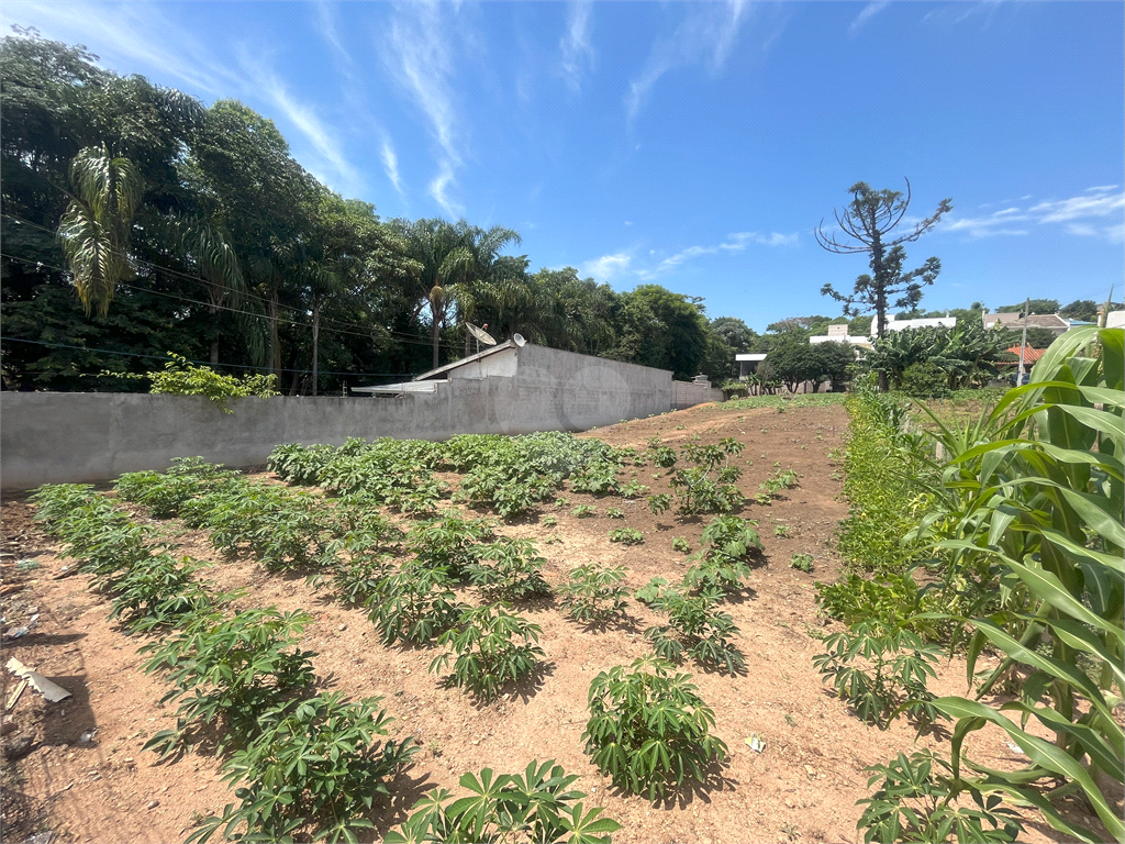 Venda Terreno Valinhos Jardim São Luiz REO907864 6