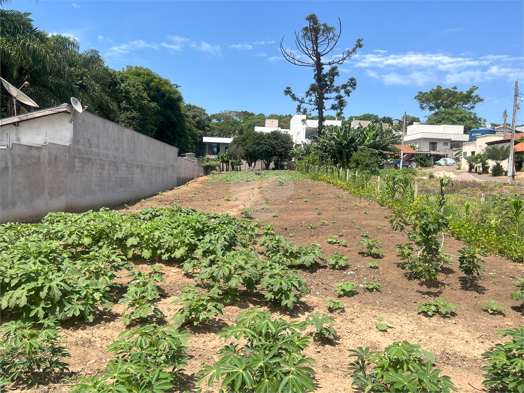 Venda Terreno Valinhos Jardim São Luiz REO907864 7