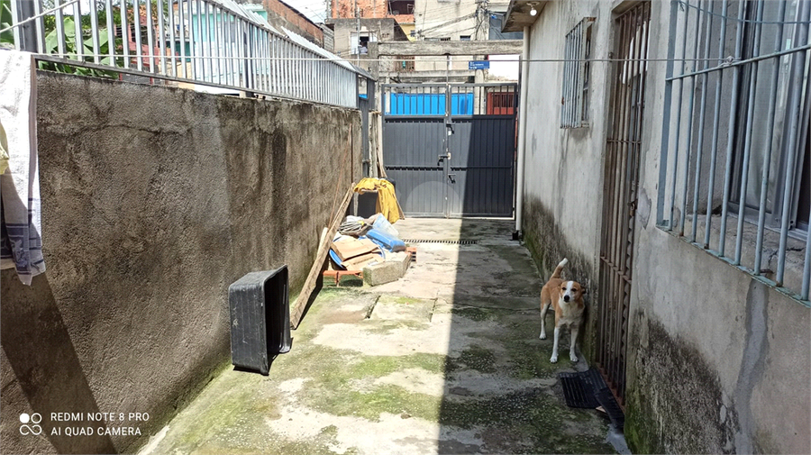 Foto REO907962