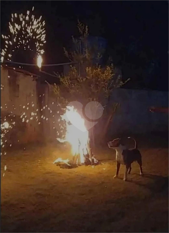 Venda Chácara Piedade Centro REO908093 3