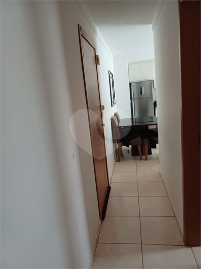 Foto REO908256