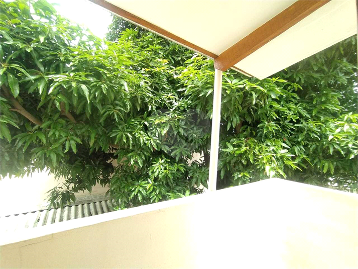 Foto REO908318